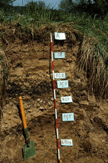 Screenshot 2017-08-31 17.06.26